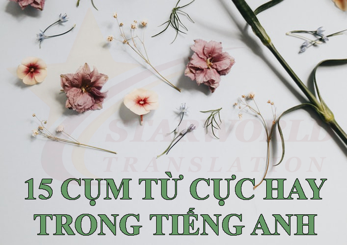 15 cụm từ cực hay trong tiếng Anh thường có trong đề thi Toeic