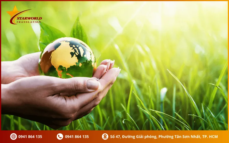 Dịch thuật báo cáo đánh giá tác động môi trường là gì