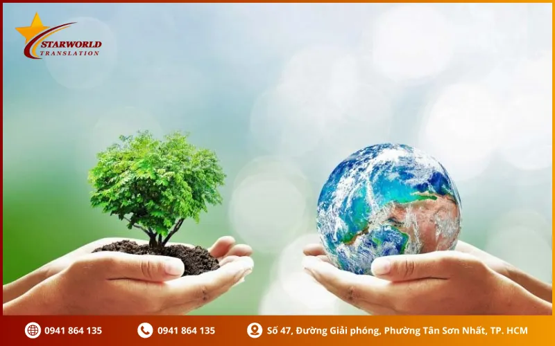 Quy trình cơ bản của quá trình dịch báo cáo đánh giá tác động môi trường
