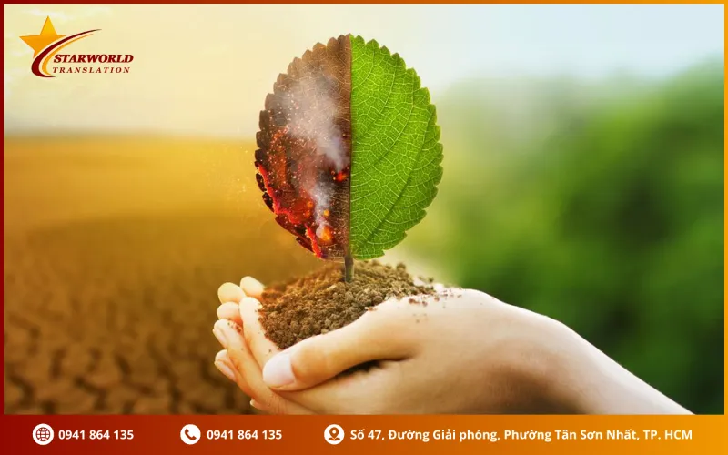 Những văn bản cần thiết khi dịch tài liệu đánh giá tác động môi trường