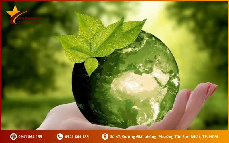 Khách hàng cần chuẩn bị gì khi gửi hồ sơ ĐTM đi dịch
