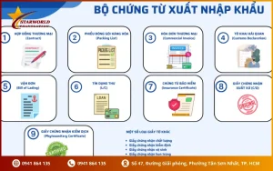 Dịch Thuật Chứng Từ Xuất Nhập Khẩu – Chuẩn Thuật Ngữ Ngoại Thương, Thông Quan Nhanh